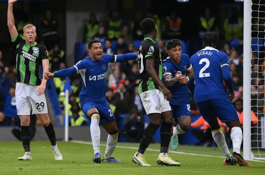 英国布莱顿霍夫有什么大学